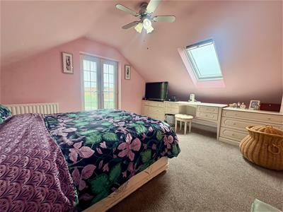 Picture 15